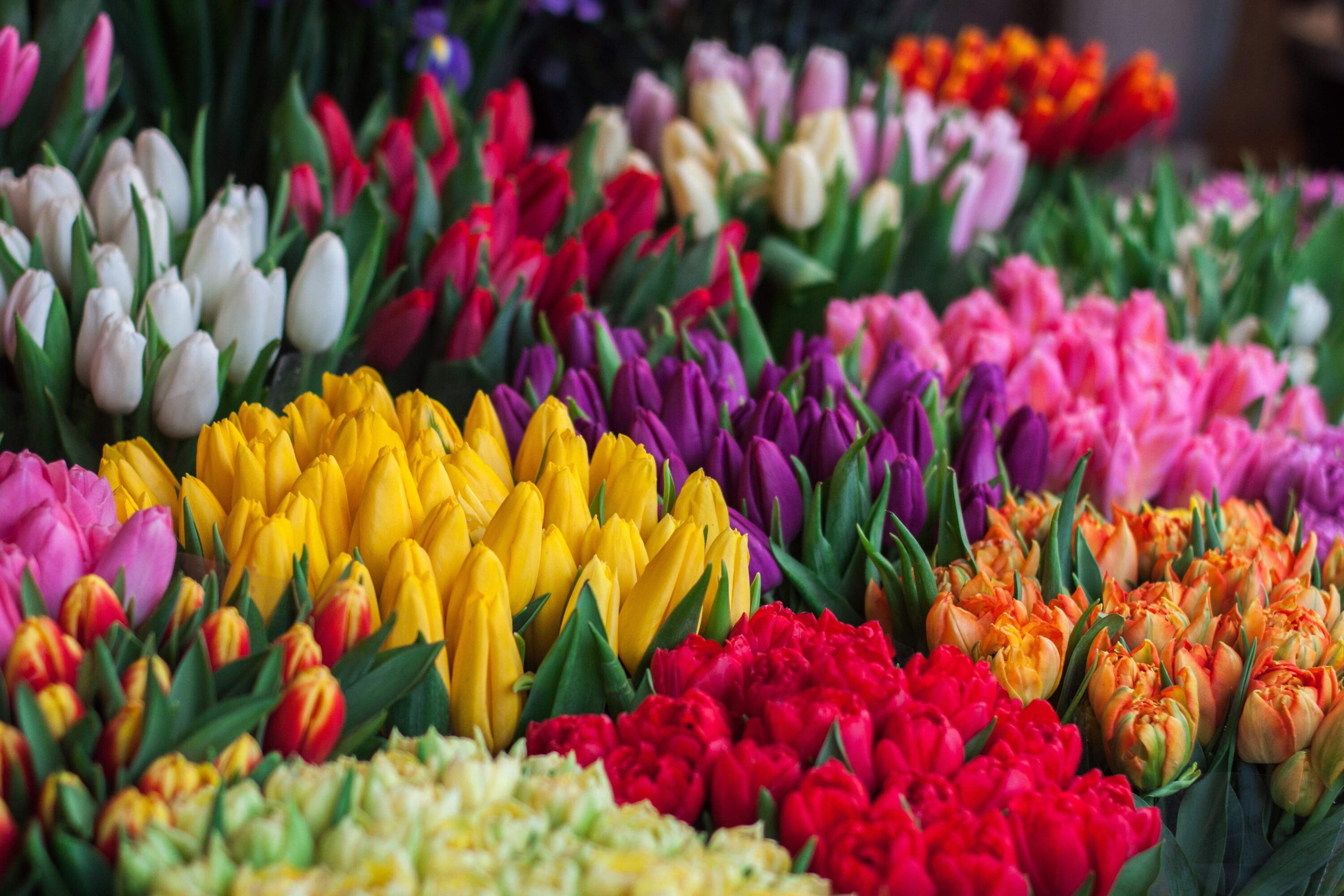 Mother’s Day Brunch Picks: Here are 7 in our Local Area to check out!